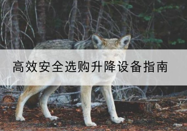 龙南升降货梯厂家推荐-*安全选购升降设备指南