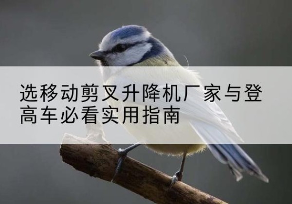 龙南电动升降机厂家-选移动剪叉升降机厂家与登高车必看实用指南